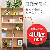 ダンボール 家具 段ボール 本棚5段 W900 組み立て式　強化段ボールシリーズ