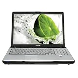 Toshiba Satellite P205D-S7479 17 Laptop (AMD Turion 64 X2 TL-64 Processor, 2 GB RAM, 250 GB Hard Drive, Vista Premium)