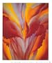 Red Canna Art Poster Print by Georgia O'Keeffe, 9x11