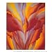 Red Canna Art Poster Print by Georgia O'Keeffe, 9x11