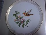 Rufous Flame Bearer Hummingbird Collector Plate