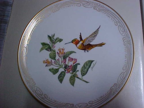Rufous Flame Bearer Hummingbird Collector Plate
