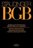 Einleitung Zum Familienrecht; 1297-1362; Anhang Zu 1297 Ff.: Verlobnis, Eheschlieung, Allgemeine Ehewirkungen, Faktische Lebensgemeinschaft