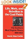 Life, Work, and Rebellion in the Coal Fields: The Southern West Virginia Miners, 1880-1922 (Working Class in American History)