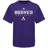 adidas Alcorn State Braves Purple Sideline T-shirt
