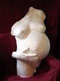 Proudbody Pregnancy Belly Cast Kit