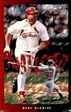 (23x35) St Louis Cardinals Mark McGwire Sports Poster