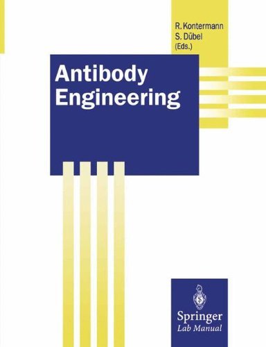 Antibody Engineering (Springer Lab Manuals)