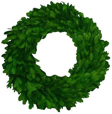 Mills Floral Company Boxwood Wreath Single Side 10"