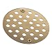 MOEN 102763BN 4-Inch Shower Strainer, Brushed Nickel