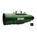 Sigma 200-500mm f/2.8 APO EX DG Ultra-Telephoto Zoom Lens for Canon DSLR Cameras