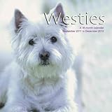 Westies 2012 Wall Calendar #DOG49