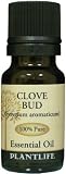 Clove Bud 100% Pure Essential Oil 10 ml Clove Bud 100% Pure Essential Oil 10 ml