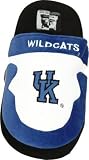 Kentucky Wildcats New Mens House Shoes Slippers Small