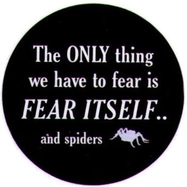 Only Thing To Fear Itself Spiders Button SB3969-image