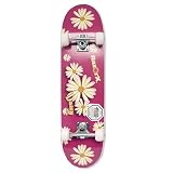 Razor X 31 inch Skateboard - Daisy