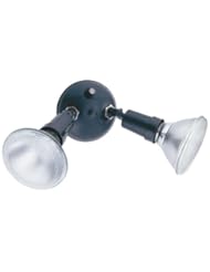 Lithonia OFTH 300PR 120 BZ M12 2-Light Twin PAR Holder Security Light, Dark Bronze