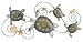 Sea Turtle Wall Decor