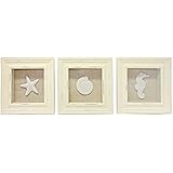 3 Sealife Shadow Boxes Seahorse Starfish Shell Seashell