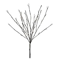 Floral Lights Lighted Willow Branch with 60 Bulbs, 20 inches