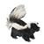 RC Skunk