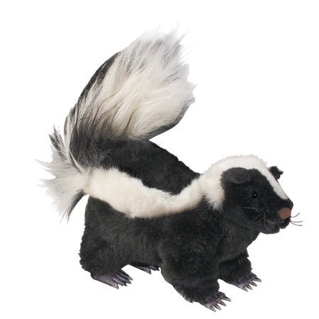 41uBNg9sGWL RC Skunk