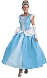 Adult Disney Cinderella Halloween Costume