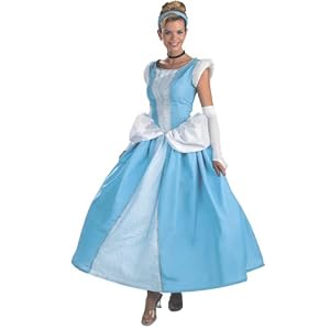 Adult Disney Cinderella Halloween Costume