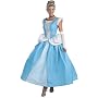 Adult Disney Cinderella Halloween Costume