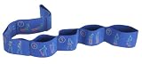 Altus Athletic Altus Exercise Strap with Printed Exercises