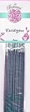 Eucalyptus - Botanica Stick Incense - 20 Stick Package