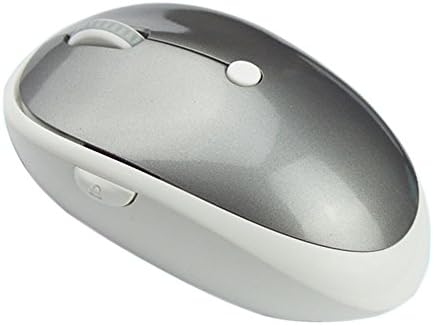 Citiger(TM) 2.4G Wireless Privacy Security Mouse, Office Computer Mice, with Hidden Key, Lock Screen Key, Come with Nano Receiver (Gray)