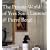 The Private World of Yves Saint Laurent & Pierre Bergé