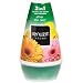 Dial 1560635 Renuzit After the Rain Solid Adjustable Air Freshener, 7.5oz Cone (Pack of 12)