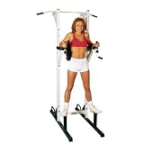 Wall Mounted Dip Bar Heavy Duty Stud Mount Dipping Station w/ Rubber Grips NEW