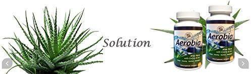 Green Coffee Bean Extract & Garcinia Cambogia