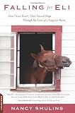 Falling for Eli: How I Lost Heart, Then Gained Hope Through the Love of a Singular Horse
