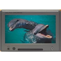 Grundig Delphi CarCine TFT 710 7 Zoll TFT Monitor