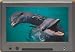 Produkt-Bild: Grundig Delphi CarCine TFT 710 7 Zoll TFT Monitor