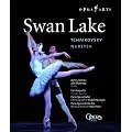Tschaikowsky - Schwanensee [HD DVD] [Import allemand]