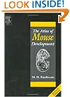 The Atlas of Mouse Development