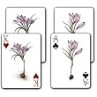 Breath of Spring - Double Deck Playing Cards