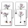 Breath of Spring - Double Deck Playing Cards
