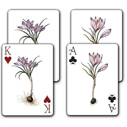 Breath of Spring - Double Deck Playing Cards