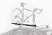 Thule 516 Prologue Fork Mount Rooftop Bike Carrier (1-Pack)