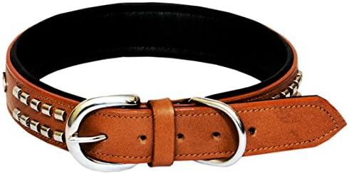 PetsUp Dog Leather Collar With designer Stud (Large, Tan)