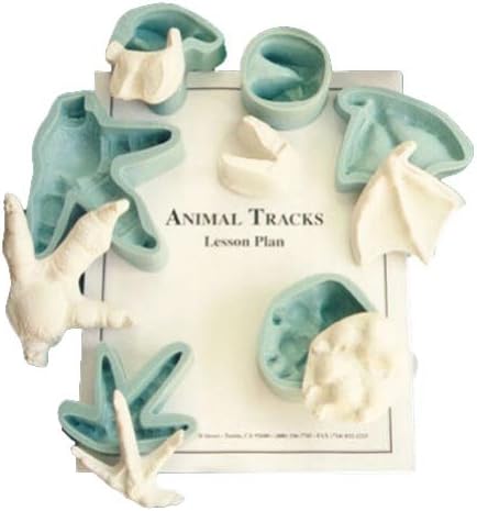 Skullduggery Animal Tracks Classroom Kit