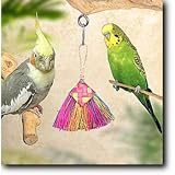 Bird Brush Bird Toy Mini