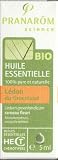 Pranarôm - Huile Essentielle de Lédon du groenland BIO - 5 ml
