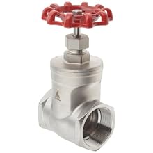 Dixon SSGV200 Stainless Steel 316 Gate Valve, 2" NPT Female